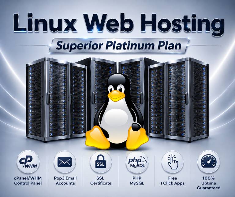Platinum Hosting - VPS